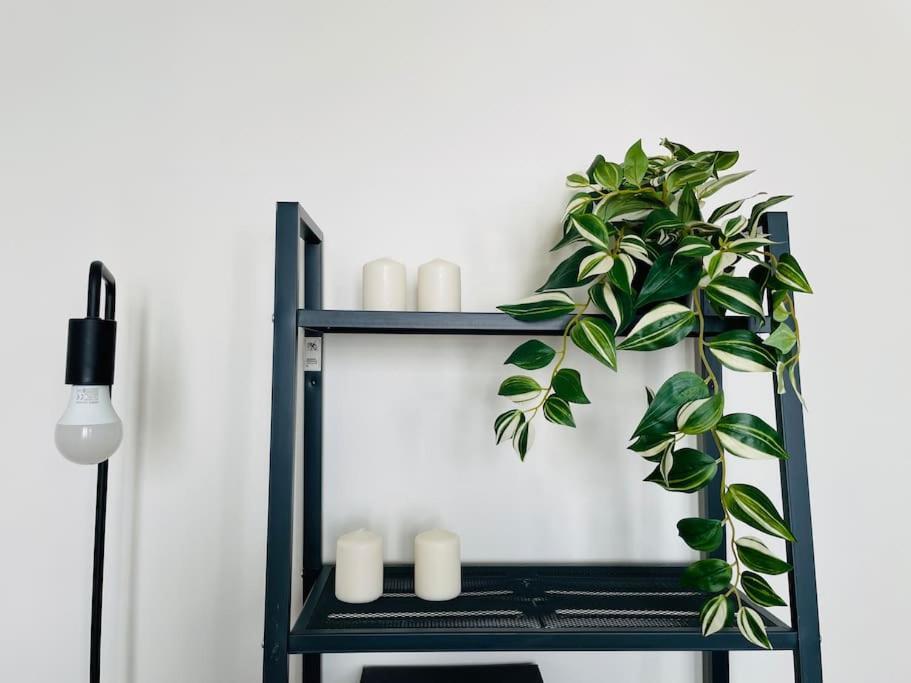 Charming & Cocooning Flat - Canal De L'Ourq Pantin Luaran gambar